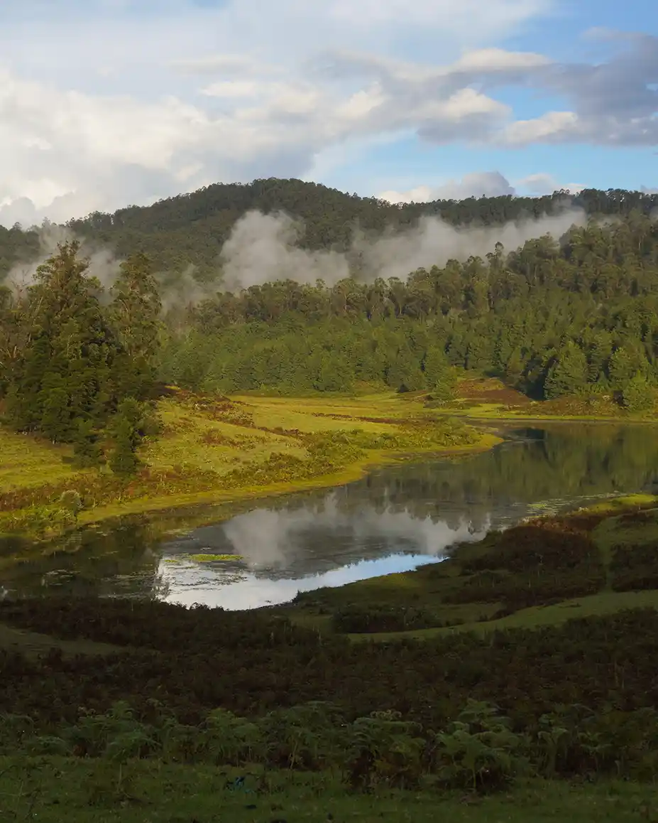 Is Travel An Escape From Responsibility For Most Tourists?